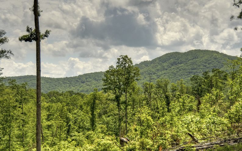 74 SHEPHERDS TRAIL, Blue Ridge, GA 30560
