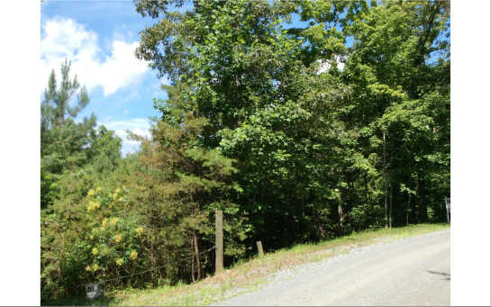 15&16 STAR CREEK ESTATES, Morganton, GA 30560