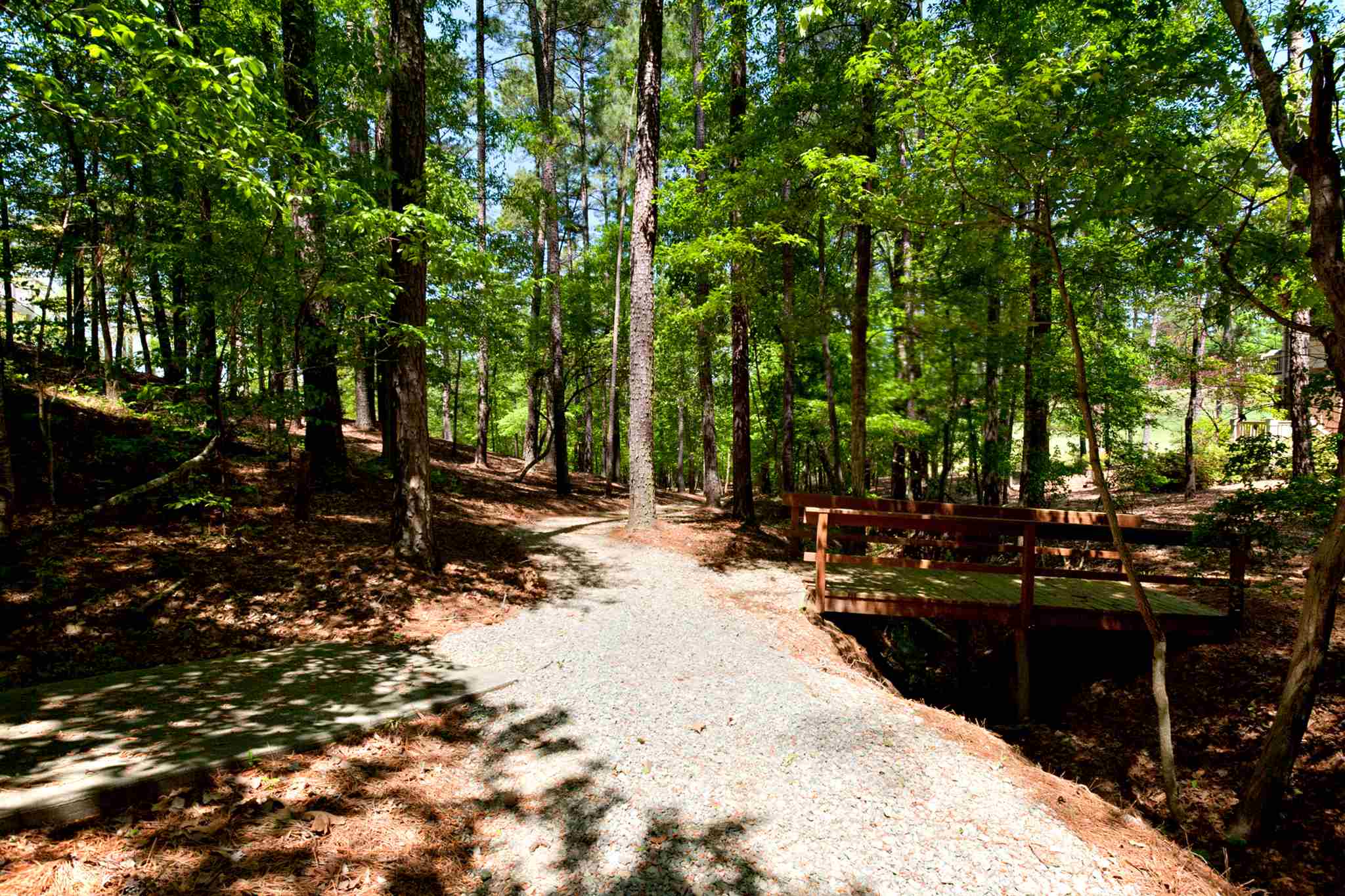 1051 LIBERTY BLUFF ROAD, Greensboro, GA 30642