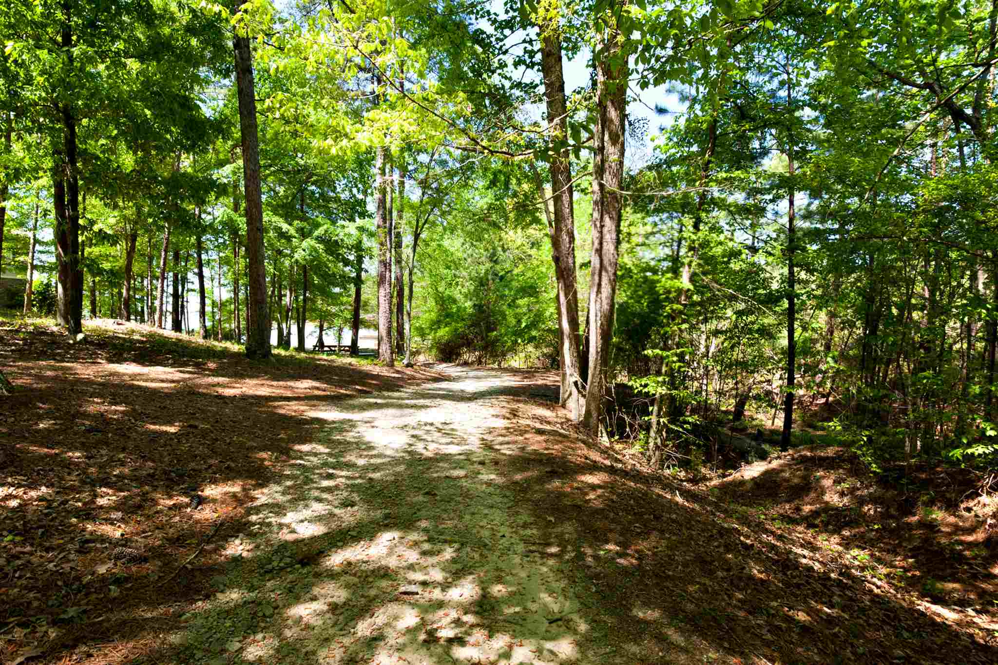 1051 LIBERTY BLUFF ROAD, Greensboro, GA 30642