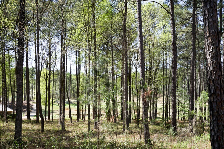 1121 REGENCY DRIVE, Greensboro, GA 30642