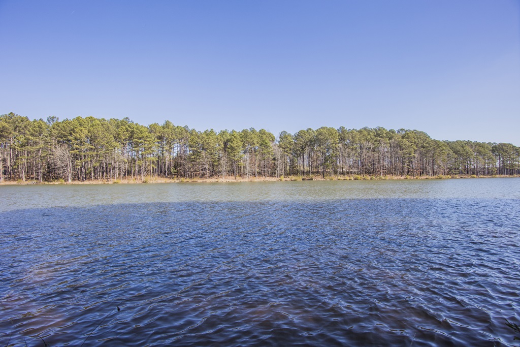 1031 NOELL PARK, Greensboro, GA 30642