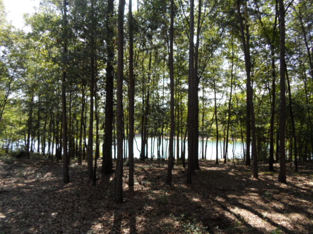 102 NorthLake Drive, Hartwell, GA 30643