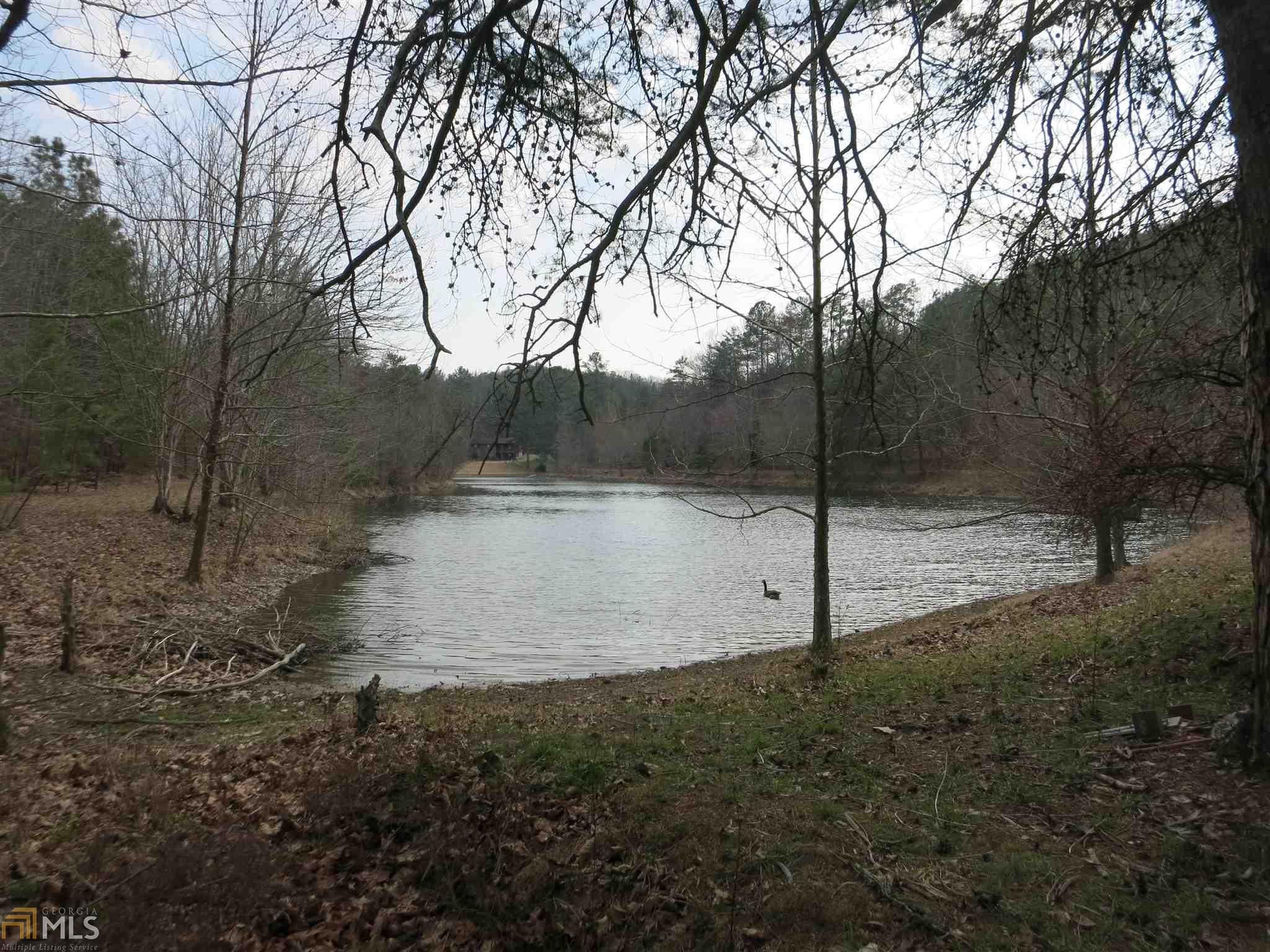329 Legg Lake Rd, Plainville, GA 30733