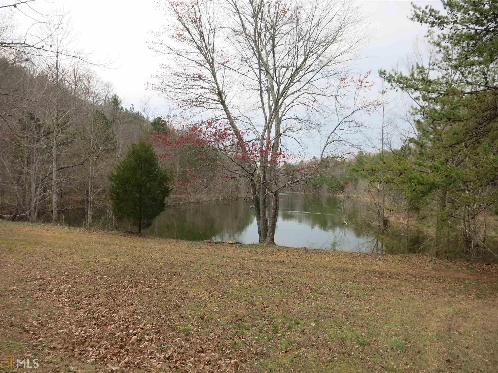 329 Legg Lake Rd, Plainville, GA 30733