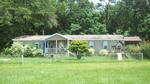 336 GOAT JOHNSON LN ,GA, Tennille, 31089