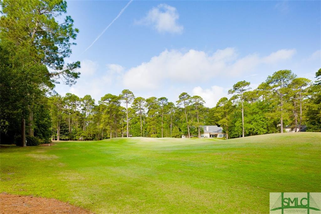 14 Raindance Court, Savannah, GA 31411