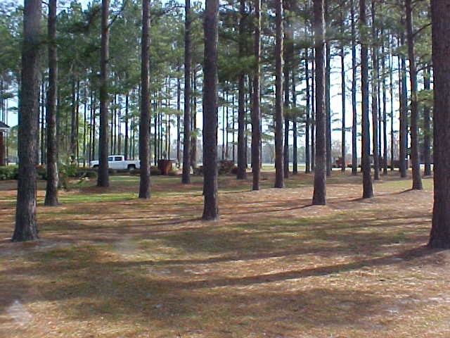314 Sam Miles Rd, Baxley, GA 31513