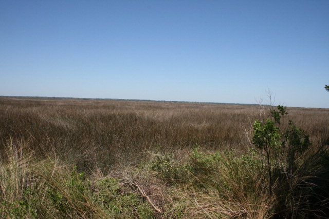 425 Mimosa Dr., St. Simons Island, GA 31522