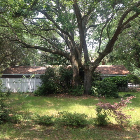 2012 Bruce, St. Simons Island, GA 31522
