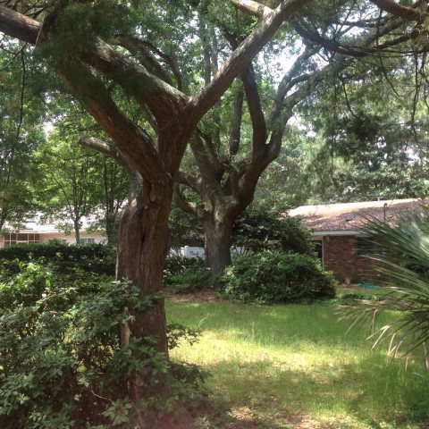 2012 Bruce, St. Simons Island, GA 31522