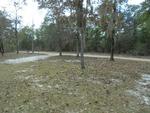 605 BIRCHWOOD RD