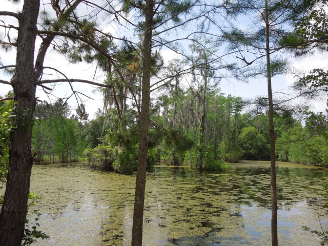5907 Old Coffee Road, Adel, GA 31620