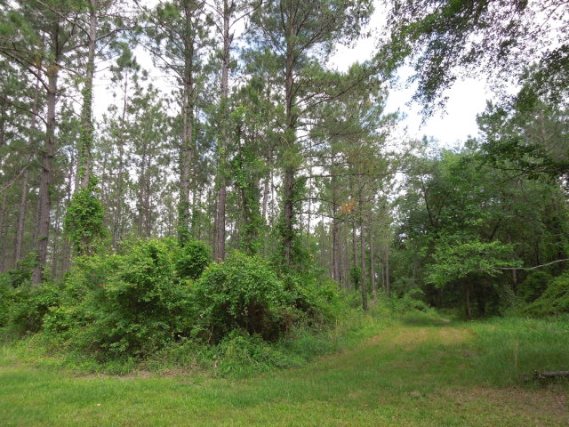 5907 Old Coffee Road, Adel, GA 31620