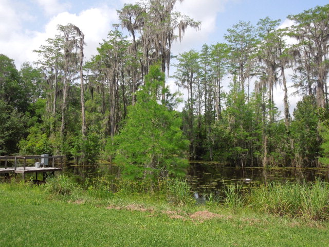 5907 Old Coffee Road, Adel, GA 31620