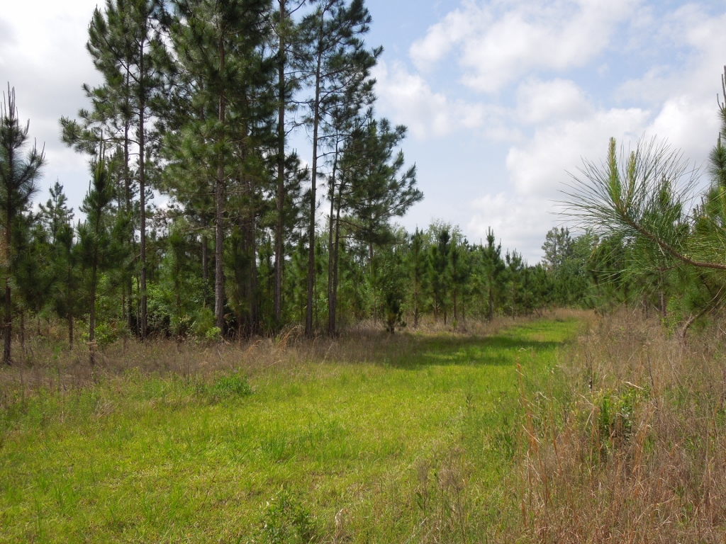 5907 Old Coffee Road, Adel, United States 31620