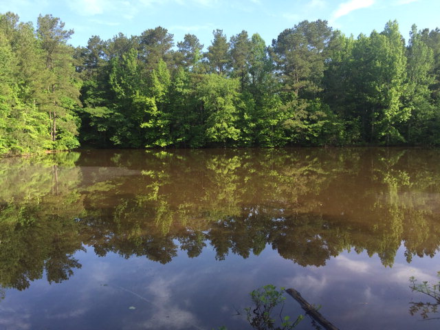 33 CANNON ROAD, Fortson, United States 31808