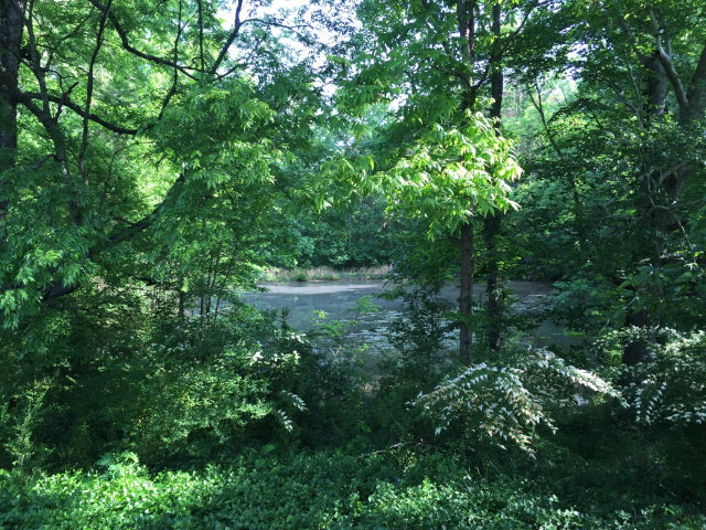 33 CANNON ROAD, Fortson, United States 31808