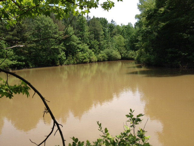 Lot 1 MORGAN COPELAND ROAD, Pine Mountain Valley, GA 31823