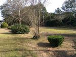 485 DE SHORT RD.