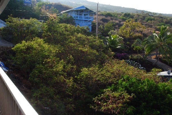 87-3185 ILI ILI RD, Captain Cook, HI 96704