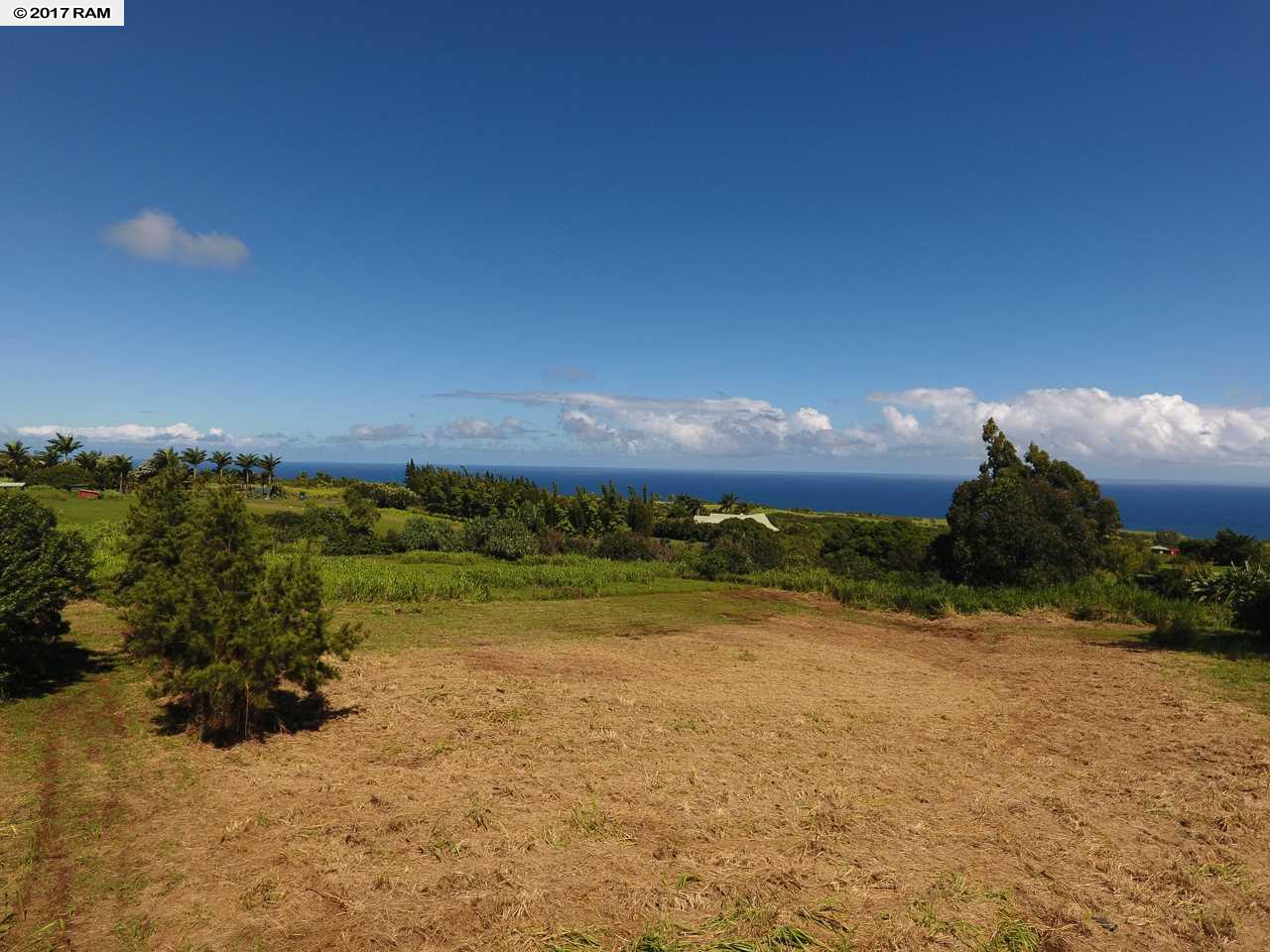 17MANAWAI, Haiku, HI 96708