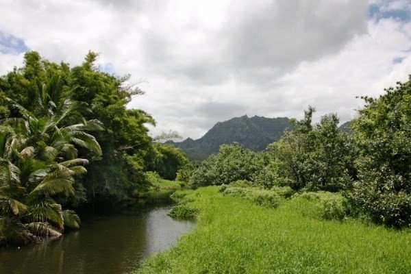 Parcel 39, Hanalei, HI 96714