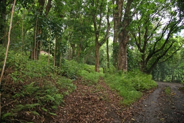 Parcel 39, Hanalei, HI 96714