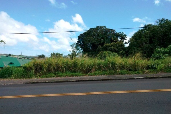 321 PONAHAWAI ST, Hilo, HI 96720