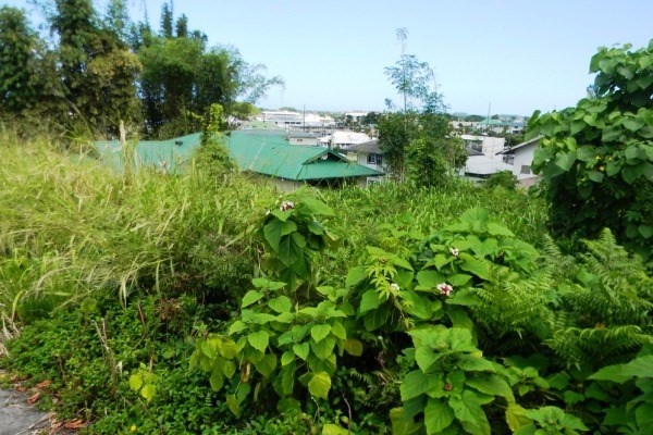 321 PONAHAWAI ST, Hilo, HI 96720