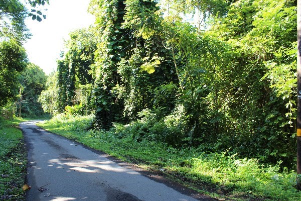 114 HALE MANU DR, Hilo, HI 96720