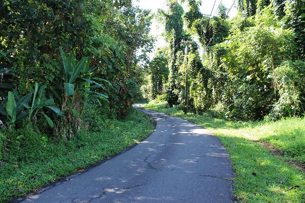 114 HALE MANU DR, Hilo, HI 96720