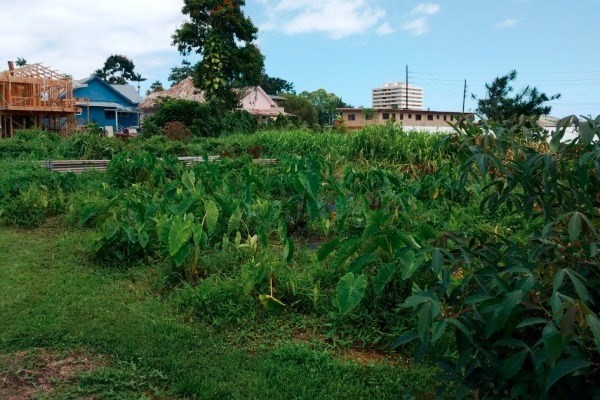 340 ILIAHI ST, Hilo, HI 96720