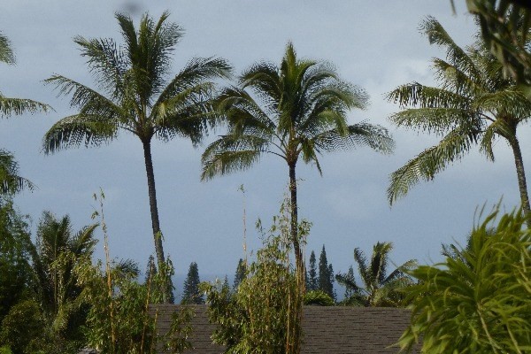 4770 Pepelani Lp. #231, Princeville, HI 96722