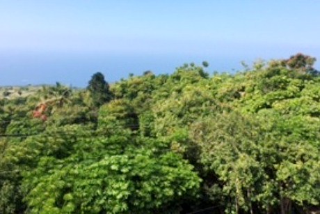 79-7199 Mamalahoa Highway #A-303, Holualoa, HI 96725