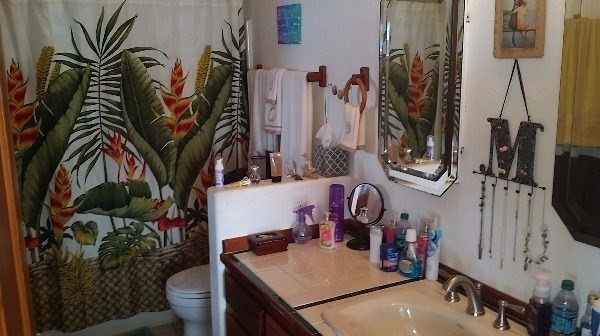 92-8316 PLUMERIA LN, Ocean View, HI 96737