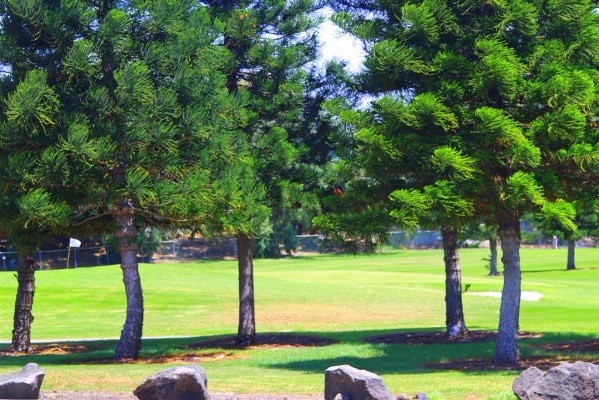 HAENA ST, Waikoloa, HI 96738