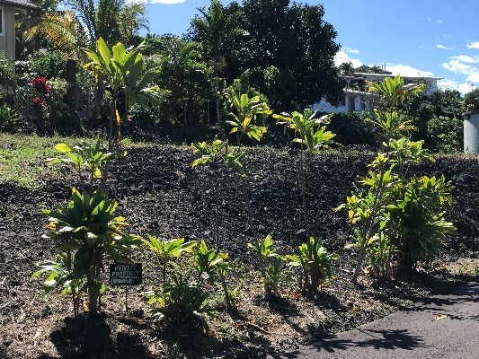 73-4161 KAHAULI PL, KAILUA-KONA, HI 96740