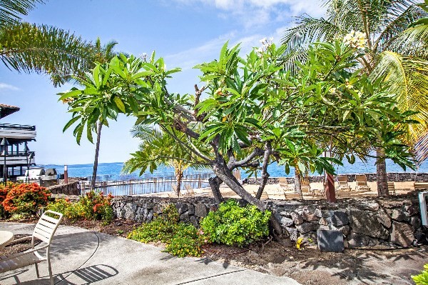 75-6082 ALII DR, KAILUA-KONA, HI 96740