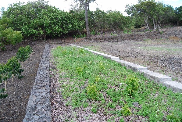 Kauilaniakea Road, Kailua-Kona, HI 96740