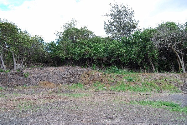 Kauilaniakea Road, Kailua-Kona, HI 96740