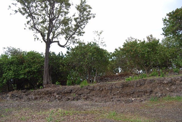 Kauilaniakea Road, Kailua-Kona, HI 96740