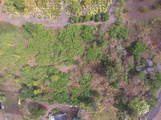 73-4261 OLD Mamalahoa Highway, Kailua Kona, HI 96740
