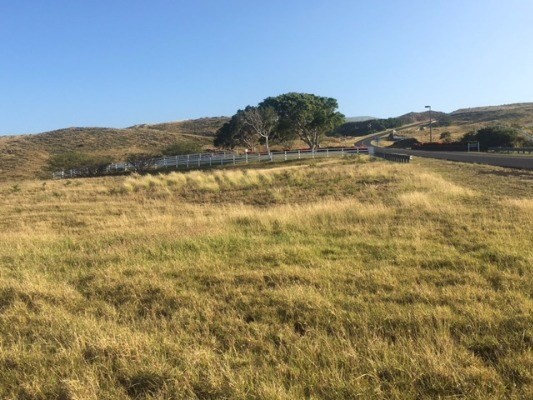 59-121 KANALOA DR, Kamuela, HI 96743