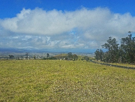 Kamuela, HI 96743