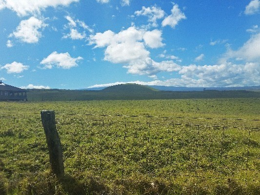 Kamuela, HI 96743