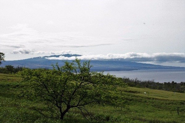 59-650 Ho`opai Trail, Kamuela, HI 96743