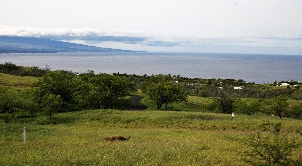 59-638 Ho`opai Trail, Kamuela, HI 96743