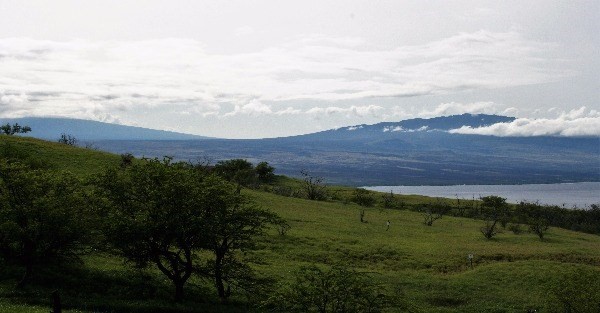 59-638 Ho`opai Trail, Kamuela, HI 96743