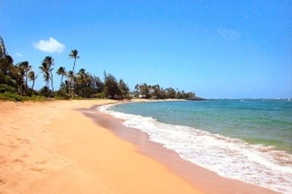 4-1250 KUHIO HWY, Kapaa, HI 96746